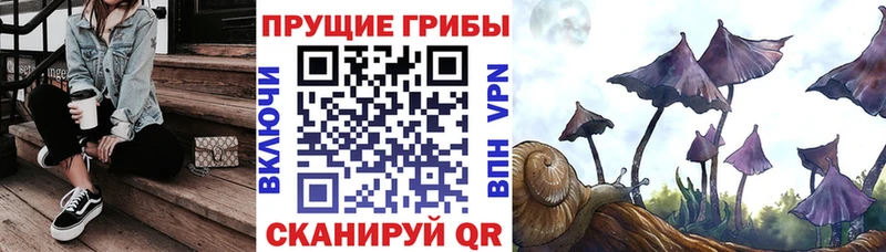 Псилоцибиновые грибы MAGIC MUSHROOMS  Купить закладки  Калач 